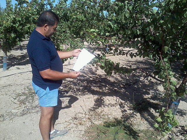 La imagen muestra a un agricultor de Mazarrón consultando la hoja de recomendaciones de la Consejería para su plantación de albaricoqueros.