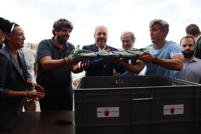 Día histórico en Mazarrón: extraída la primera pieza del barco fenicio ‘Mazarrón II’